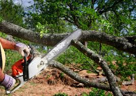 Best Soil Testing and Treatment  in Freeport, PA